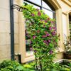 Metal Garden Arch Assemble Freely With 8 Styles Garden Arbor Trellis Climbing Plants Support Rose Arch - Black - Image 7
