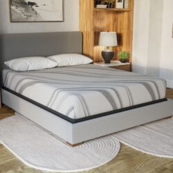 Bib Nl - 10" California King Pro Gel Foam - Medium - Dark Gray