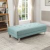Contemporary Ottoman For Living Rooms - Teal - Image 6
