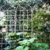 2 Pack Metal Garden Trellis Rustproof For Climbing Plant Outdoor Flower Support - Cream White - Image 7