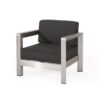 Aviara - Luxurious Outdoor Club Chair Low Profile Deep Seating - Silver - Image 4