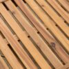 Ariana - Wood Chaise Lounge - Teak - Image 3