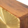 Avora - Brass Embossed 2 Door Cabinet - Brown / Golden - Image 4