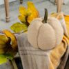 Weighted Pumpkin Ornament Decor For Holiday Harvest Festival Fall Festival & Thanksgiving (Set of 2) - Beige Multi - Image 2