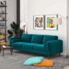 Amber - Mid-Century Modern Luxury Modern Velvet Sofa - Brown / Teal - Image 6