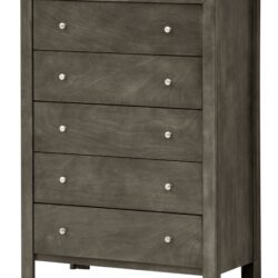 Elegant Transitional Storage Chest - Gray