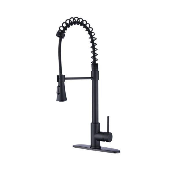 Modern Industrial Style Kitchen Faucet With Pull Down Sprayer Single Handle Stainless Steel - Matte Black