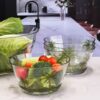 Palm Tree Style Acrylic Serving Bowls Unbreakable Small Bowls For Snacks Clear Bpa Free - Clear - Image 7