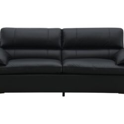 Eilene - Top Grain Leather Loveseat - Black
