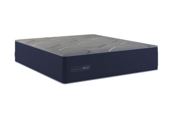HealthRest - Queen PolarBreeze Plush - Navy Blue