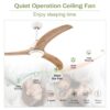Ceiling Fan, Solid Wood Blades Ceiling Fan With Light With Remote Control, Noiseless Reversible Motor, 6 Speed, 3 Color, For Patio Living Room, Bedroom, Indoor - Matte White - Image 16