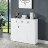 Pagan - High Gloss Server - White - Image 5