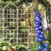 2 Pack Metal Garden Trellis Rustproof For Climbing Plant Outdoor Flower Support - Cream White - Image 4