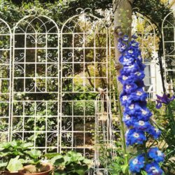 4 Pack Metal Garden Trellis Rustproof For Climbing Plants Outdoor Flower Support - Cream White