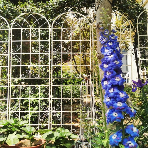 4 Pack Metal Garden Trellis Rustproof For Climbing Plants Outdoor Flower Support - Cream White