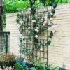 2 Pack Metal Garden Rustproof Trellis For Climbing Plants Outdoor Flower Support - Black - Image 9