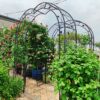 Metal Garden Arch Assemble Freely With 8 Styles Garden Arbor Trellis Climbing Plants Support Rose Arch - Black - Image 4