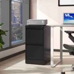 Steel 2 Drawer Vertical File Cabinet With Lock For A4 Legal / Letter Size - Black