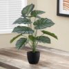 24" Tall, Artificial Plant, Calathea, Indoor, Faux, Fake, Table, Greenery, Potted, Real Touch, Decorative - Green / Black - Image 4