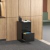 Modern 2 Drawer Metal Vertical File Cabinet With Lock And Card Slot For Office And Home Use - Black - Image 15