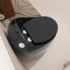 Egg Shape Toilet 1 Piece 1.28 Gpf Single Flush Ceramic - Black - Image 7