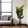Artificial Bird Of Paradise Plant 160 Cm Tall Faux Tropical Palm Tree Indoor Outdoor Decoration - Green - Image 9