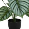 24" Tall, Artificial Plant, Calathea, Indoor, Faux, Fake, Table, Greenery, Potted, Real Touch, Decorative - Green / Black - Image 2