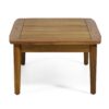 Emmry - Outdoor Loveseat Set With Coffee Table - Teak - Image 11