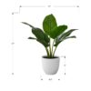 17" Tall, Artificial Plant, Aureum, Indoor, Faux, Fake, Table, Greenery, Potted, Real Touch, Decorative - Green / White - Image 6