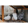 Galvanized Hardware Cloth, Gauge Metal Wire Fencing Roll For Garden And Animal Protection - Silver - Image 14