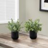 11" Tall, Artificial Plant, Eucalyptus Grass, Indoor, Faux, Fake, Table, Greenery, Potted, Decorative (Set of 2) - Green / Black - Image 5
