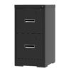 Modern 2 Drawer Metal Vertical File Cabinet With Lock And Card Slot For Office And Home Use - Black - Image 7
