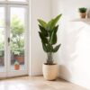 Artificial Bird Of Paradise Plant 160 Cm Tall Faux Tropical Palm Tree Indoor Outdoor Decoration - Green - Image 2