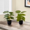 13" Tall, Artificial Plant, Epipremnum, Indoor, Faux, Fake, Table, Greenery, Potted, Decorative (Set of 2) - Green / Black - Image 4