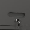 Heavy Duty, Metal Wall Mounted Tool Storage Cabinet Steel Metal Garage Storage Cabinet - Black / Gray - Image 21