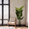 Artificial Bird Of Paradise Plant 160 Cm Tall Faux Tropical Palm Tree Indoor Outdoor Decoration - Green - Image 7