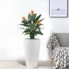 Faux Rattan Tall Planters Set With Water Level Monitor And Automatic Watering, Polypropylene - Black / Gray - Image 2