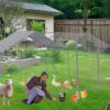 Outdoor Chicken Coop Large Space For Farm Use - Silver Gray - Image 2