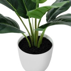 17" Tall, Artificial Plant, Aureum, Indoor, Faux, Fake, Table, Greenery, Potted, Real Touch, Decorative - Green / White