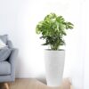 Faux Rattan Tall Planters Set With Water Level Monitor And Automatic Watering, Polypropylene - Black / Gray - Image 7