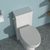 Modern Ceramic 1 Piece Toilet With Soft Closing Seat - White - Image 4