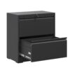 Premium 2 Drawer Metal Lateral File Cabinet With Lock Steel Wide Horizontal Filing Cabinets For Home Office - Black - Image 5