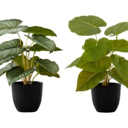 13" Tall, Artificial Plant, Epipremnum, Indoor, Faux, Fake, Table, Greenery, Potted, Decorative (Set of 2) - Green / Black