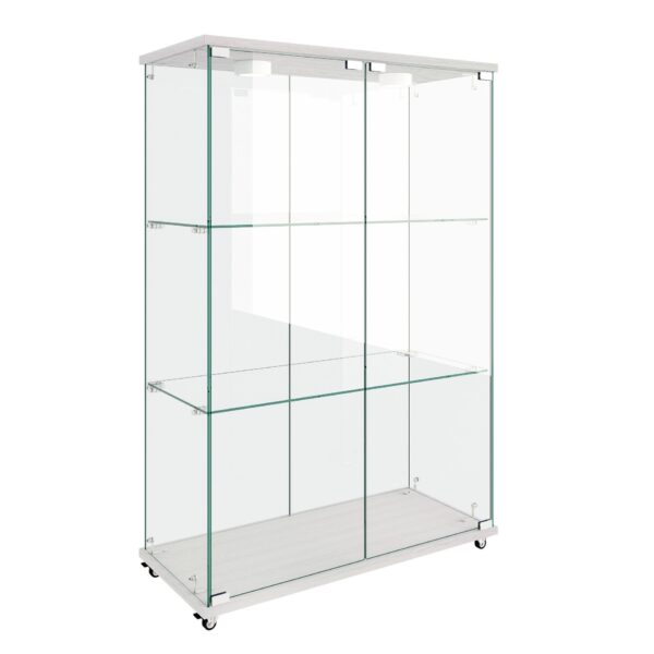 Modern Display Cabinet With LED Lights, Tempered Glass 2 Door Storage Case With 3 Shelves For Living Room - Transparent