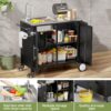 Outdoor Grill Cart With 304 Stainless Steel Sink And Cabinet - Black / Silver - Image 11