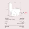 1.1 / 1.60 Gpf Dual-Flush One Piece Toilet, Water-Saving Elongated Comfort Height Floor Mounted, Soft Close 1000 Gram Map Flushing Score Toilet 23T01-Rs - Rose - Image 29