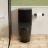 1 Piece Toilet With Tornado Flush, Dual Flush, And ADA Height Comfort Chair - Matte Black - Image 5