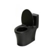 1 Piece Toilet With Dual Flush And Soft Closing Seat - Matte Black - Image 18