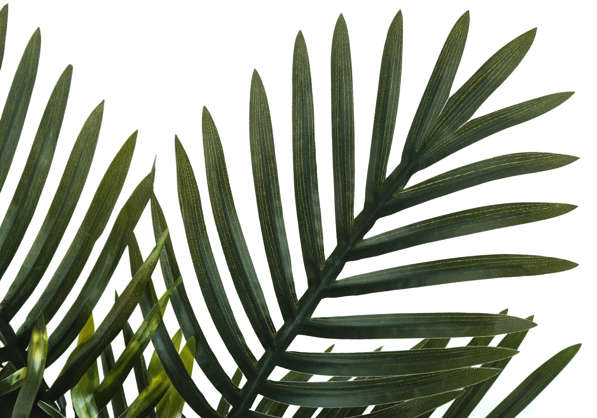 20" Tall, Artificial Plant, Palm, Indoor, Faux, Fake, Table, Greenery, Potted, Real Touch, Decorative - Green / Black - Image 5