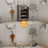 Elegant Decor Mirrored Shoe Cabinet With Edging Double Door Storage Cabinets Glass - Brown / Silver / Gray - Image 9